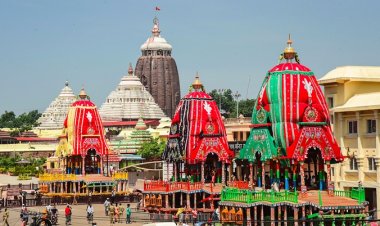 ରଥଖଳାରୁ:ରଥନିର୍ମାଣକାର୍ଯ୍ୟ : ଓମଟିଭି