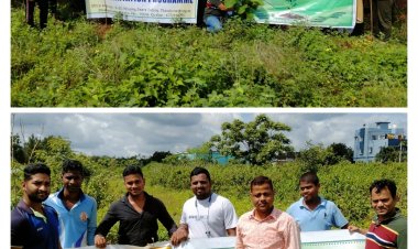 ଚନ୍ଦକା ଗୋ ଶାଳ ଓ ପଥରଗାଡ଼ିଆ ଖେଳ ପଡ଼ିଆରେ ସମ୍ବାଦ ସାହିତ୍ୟ ଘର ପକ୍ଷରୁ ବୃକ୍ଷ‌ରୋପଣ : ଓମଟିଭି