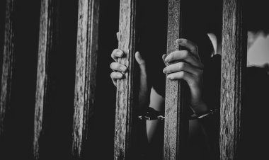 ମାନବ ଚାଲାଣକାରୀଙ୍କ ବିରୁଦ୍ଧରେ ଆରପିଏଫ୍ ର ଅଭିଯାନ :ଓମଟିଭି