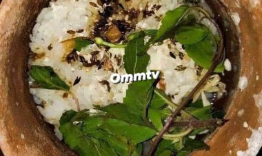  ଶ୍ରୀମନ୍ଦିରରେ ପଖାଳ ଭୋଗ ର ମହିମା  : Ommtv