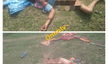 ସାବଧାନ ହିନ୍ଦୋଳରେ ମାତିଛନ୍ତି ବଣୁଆ ହାତୀ : ଓମଟିଭି