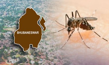 ରାଜଧାନୀରେ ହୁ ହୁ ହୋଇ ବଢ଼ୁଛି ଡେଙ୍ଗୁ