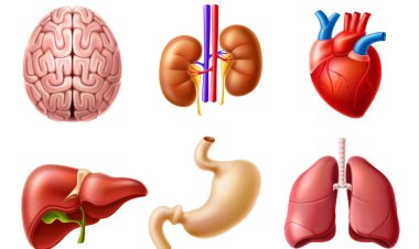 ଘରୋଇ ଡାକ୍ତରଖାନାରେ ଅଙ୍ଗ ଚୋରି ଅଭିଯୋଗ ନେଇ ତଦନ୍ତ ନିର୍ଦ୍ଦେଶ : Ommtv