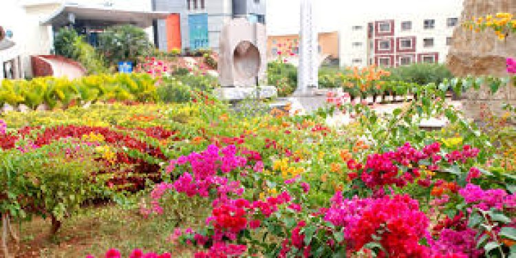 ୩୦ ଟି କ୍ୟାମ୍ପସରେ ୬୩ ପ୍ରକାର ଫୁଲ, ଝଲସୁଛି କିଟ୍ ରୋଡ଼ : Ommtv