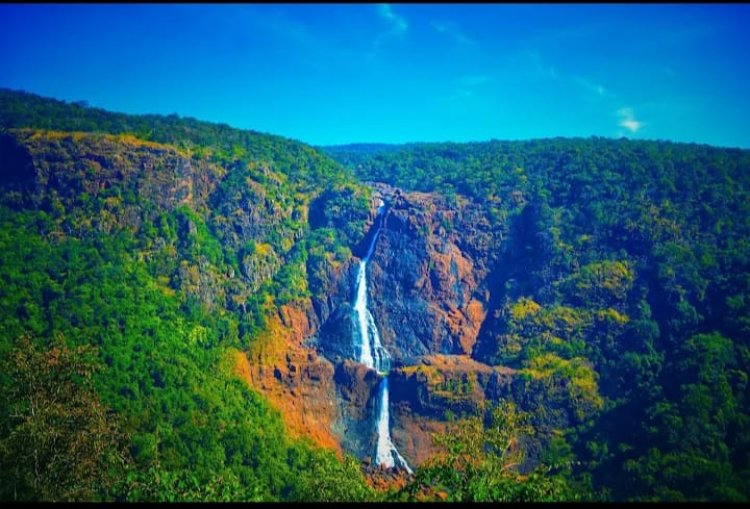 ଶିମିଳିପାଳକୁ ଜାତୀୟ ଉଦ୍ୟାନ ମାନ୍ୟତା, ସଫଳ ହେଲା ୪୫ ବର୍ଷର ପ୍ରୟାସ : Ommtv