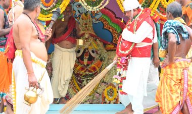Rath Yatra Celebrated at Shrivani Kshetra : Ommtv Kalinga Vikas