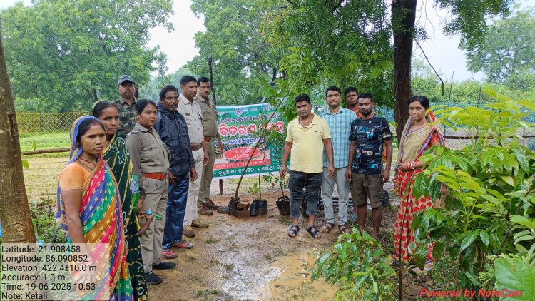 ଏକତାଳୀଠାରେ ଜଙ୍ଗଲ,ପରିବେଶ ଓ ଜଳବାୟୁ ପରିବର୍ତ୍ତନ ବିଭାଗର ଚାରା ବଣ୍ଟନ:Ommtv Kalingavikas