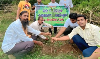 ବ୍ରଦରସ କ୍ଳବ ପକ୍ଷରୁ ବନ ମହୋତ୍ସବ : ommtv କଳିଙ୍ଗବିକାଶ