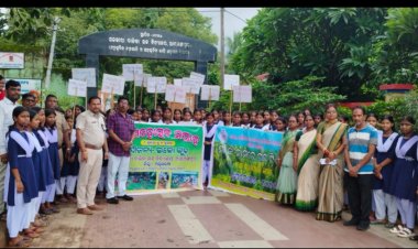 ରାଇରଙ୍ଗପୁର ଏସ୍‌ ଏସ୍‌ ଡ଼ି ବାଳିକା ଉଚ୍ଚ ବିଦ୍ୟାଳୟରେ ବନ ମହୋତ୍ସବ ପାଳିତ:Ommtv Kalingavikas