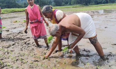 ଅବସର ପରେ ଚାଷ କାମକୁ ଆପଣେଇ ନେଇଛନ୍ତି ଫୁଲବାଣୀ ର ପୁର୍ବତନ ବିଧାୟକ ଅଙ୍ଗଦ କହଁର, ଅବସର ପରେ ବିଲରେ ଚାଷ କରି ଅନ୍ୟଚାଷୀଙ୍କ ପାଈଁ ସାଜିଛନ୍ତି ପ୍ରେରଣା:Ommtv Kalingavikas
