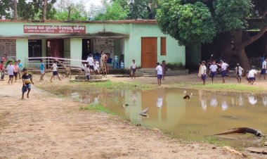 ଲାଞ୍ଜିଗଡ ସରକାରୀ ଉଚ୍ଚ ପ୍ରାଥମିକ ବିଦ୍ୟାଳୟ (ନୋଡାଲ) କ୍ୟାମ୍ପସ ମଧ୍ୟରେ ଖେଳୁଛି ମାଛ :Ommtv Kalinga Vikas
