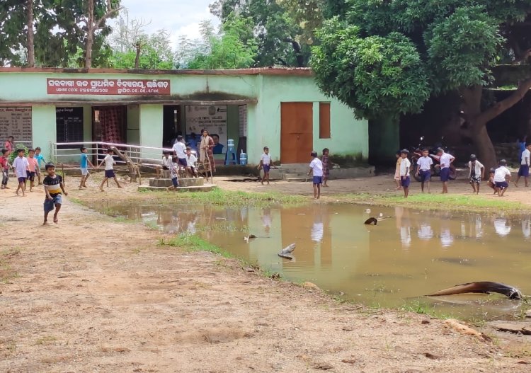 ଲାଞ୍ଜିଗଡ ସରକାରୀ ଉଚ୍ଚ ପ୍ରାଥମିକ ବିଦ୍ୟାଳୟ (ନୋଡାଲ) କ୍ୟାମ୍ପସ ମଧ୍ୟରେ ଖେଳୁଛି ମାଛ :Ommtv Kalinga Vikas