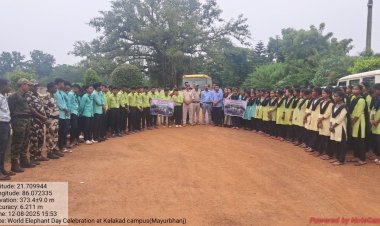 ଏସ୍‌ଏସ୍‌ଆଇଟି ପଲିଟେକ୍‌ନିକ୍‌ରେ ହସ୍ତୀ ଦିବସ l Ommtv