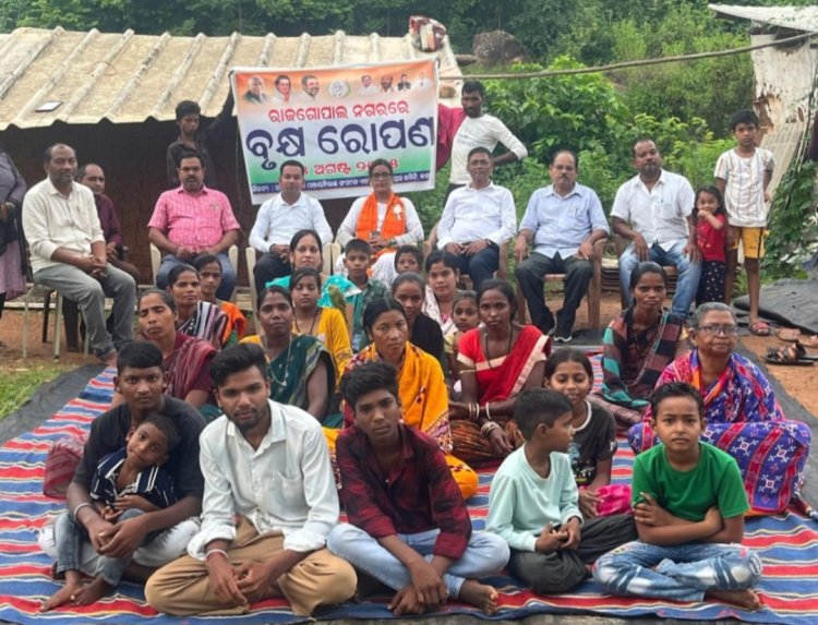 ରାଜୀବଗାନ୍ଧୀ ପଞ୍ଚାୟତରାଜ ସଂଗଠନ ଏବଂ ଜିଲ୍ଲା କଂଗ୍ରେସ କମିଟି ଦ୍ୱାରା ରାଜଗୋପାଳ ନଗରରେ ବୃକ୍ଷ ରୋପଣ :Ommtv Kalinga Vikas