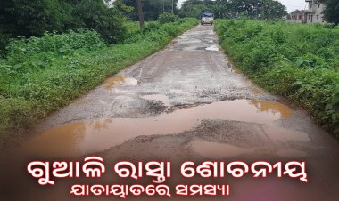 ଗୁଆଳି ରାସ୍ତା ଶୋଚନୀୟ ଯାତାୟାତରେ ସମସ୍ୟା : OMMTV କଳିଙ୍ଗ ବିକାଶ