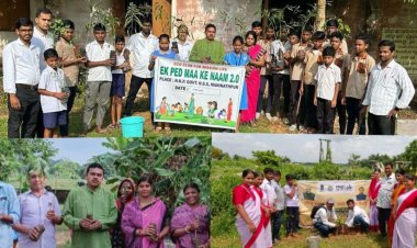 ଭଦ୍ରକ ଜିଲ୍ଲା ଭଣ୍ଡାରି ପୋଖରୀ ବ୍ଲକ ଅନ୍ତର୍ଗତ ଷୋଳମପୁର ଗ୍ରାମରେଏକ ପେଡ ମା କେ ନାମ :Ommtv