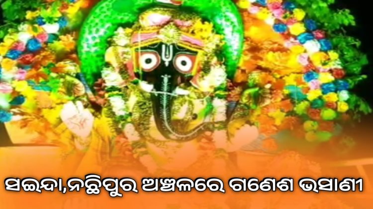 ସଇନ୍ଦା,ନଛିପୁର ଅଞ୍ଚଳରେ ଗଣେଶ ଭସାଣୀ ଉତ୍ସବ ଧୁମଧାମରେ ପାଳିତ : OMMTV କଳିଙ୍ଗ ବିକାଶ