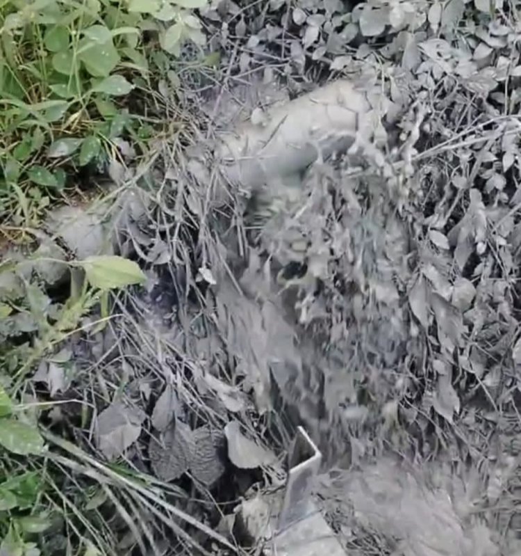 ଲାଞ୍ଜିଗଡ ବେଦାନ୍ତ କମ୍ପାନୀ ଓ ରକ୍ଷIଣ ବେକ୍ଷIଣ କମ୍ପାନୀ ଚେନେଇ ରାଧା ପାଇଁ ଜନସାଧାରଣ ହନ୍ତ ସନ୍ତ :Ommtv Kalinga Vikas