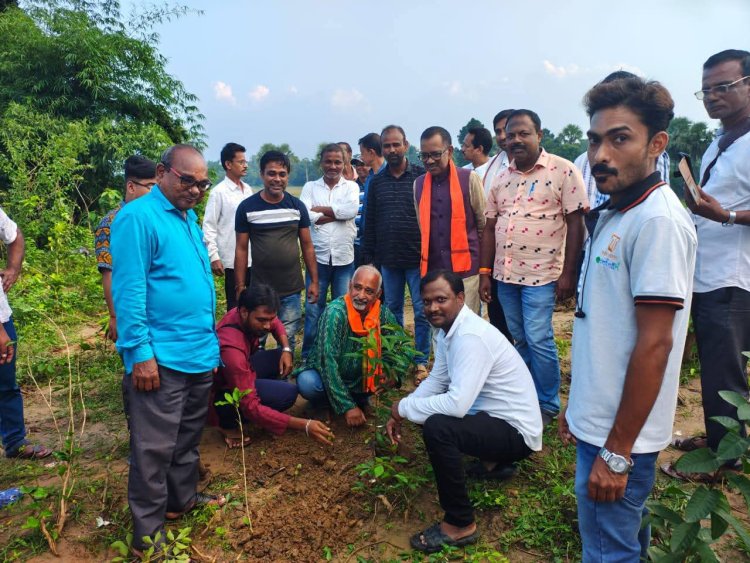 ଈଶାଣୀବ୍ରହ୍ମପୁର ପଞ୍ଚାୟତ ରେ ମା ପାଇଁ ଗଛ ଟିଏ କାର୍ଯ୍ୟକ୍ରମ:Ommtv Kalinga Vikas