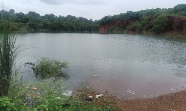 ବିପଦଦେଖି ଚେତା ପସୁନି..ବନ୍ୟା ପାଣିରେ ଟଳମଳ ପଥର ଖଣି