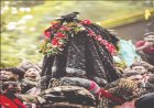 ମାଣିକେଶ୍ୱରୀଙ୍କ ପ୍ରସିଦ୍ଧ ଛତରଯାତ୍ରା: ସଅଳ ମନ୍ଦିର ପ୍ରବେଶ, ଦର୍ଶନରୁ ବଞ୍ଚିତ ଭକ୍ତ