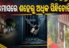 ୪ମାସରେ ଶହେରୁ ଅଧିକ ସିନ୍ଧିଚୋରି: ରାତି-ଦିନ ମାନୁନାହାନ୍ତି ଲୁଟେରା