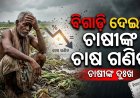 ବିଗାଡ଼ି ଦେଇଛି ଚାଷୀଙ୍କ ଚାଷ ଗଣିତ: ଅନୁମାନଠାରୁ ଅଧିକ ବର୍ଷା