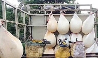  ଚଢ଼ଉ ପରେ ବଢ଼ିଲା ପନିର, ଛେନା ଦର