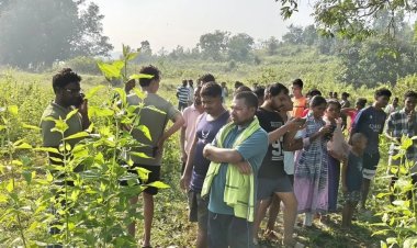 ଡୁମେର୍ତ୍ତା ଟୁଙ୍ଗୁରି ଟୋଲି ଜମିରୁ ଦନ୍ତାହାତୀର ମୃତଦେହ ଉଦ୍ଧାର, ବିଦ୍ୟୁତ୍ ତାର ସଂସ୍ପର୍ଶରେ ମୃତ୍ୟୁ ସନ୍ଦେହ