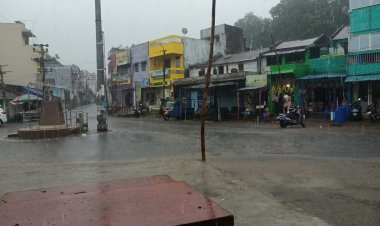 ସୁନାର ଫସଲ ଧୋଇ ନେଲା ବାତ୍ୟା ‘ଅର୍ଣ୍ଣବ