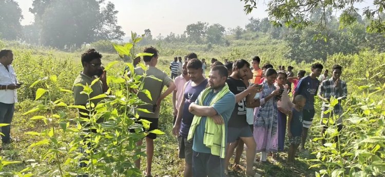 ଡୁମେର୍ତ୍ତା ଟୁଙ୍ଗୁରି ଟୋଲି ଜମିରୁ ଦନ୍ତାହାତୀର ମୃତଦେହ ଉଦ୍ଧାର, ବିଦ୍ୟୁତ୍ ତାର ସଂସ୍ପର୍ଶରେ ମୃତ୍ୟୁ ସନ୍ଦେହ