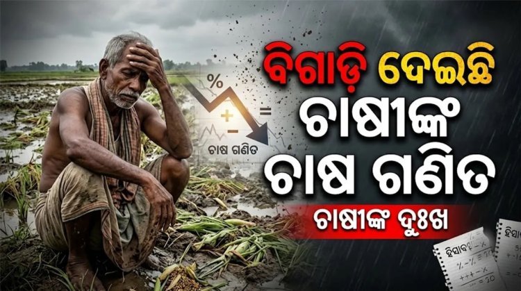 ବିଗାଡ଼ି ଦେଇଛି ଚାଷୀଙ୍କ ଚାଷ ଗଣିତ: ଅନୁମାନଠାରୁ ଅଧିକ ବର୍ଷା
