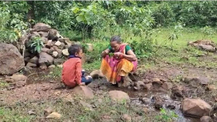 ତୃଷାର୍ତ୍ତ ଜୁଆଙ୍ଗଙ୍କୁ ପସନ୍ଦ ଝରଣା ପାଣି